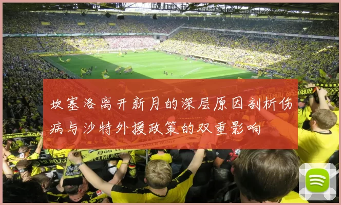 坎塞洛离开新月的深层原因剖析伤病与沙特外援政策的双重影响